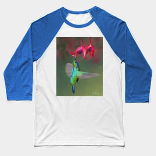 Hummingbird Feeding Time Baseball T-Shirt